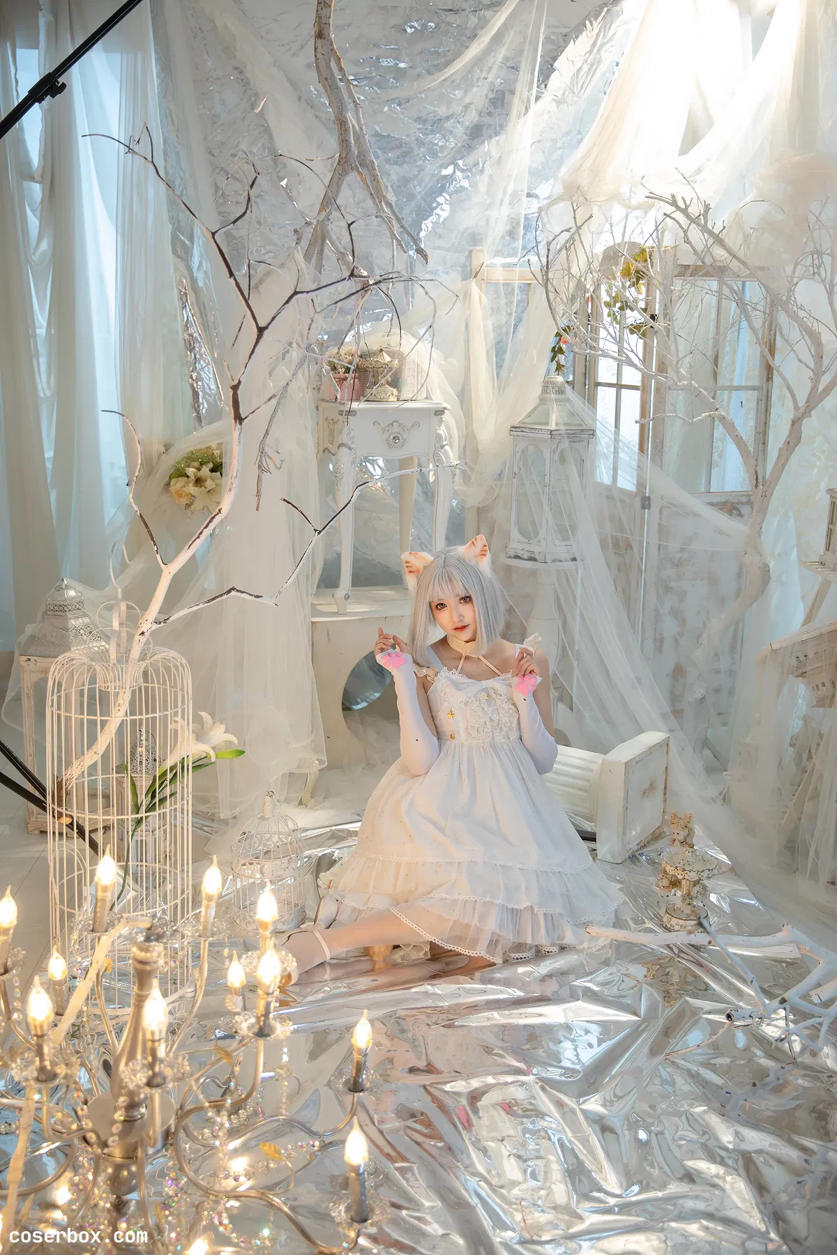 冬马路纱 2025.09.25 猫猫拳 - 1