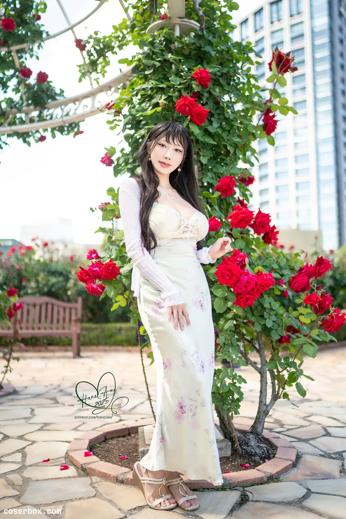 雨波 2025.10.07 25年8月订阅 原创 玫瑰刚好绽放 Now in Bloom - 2