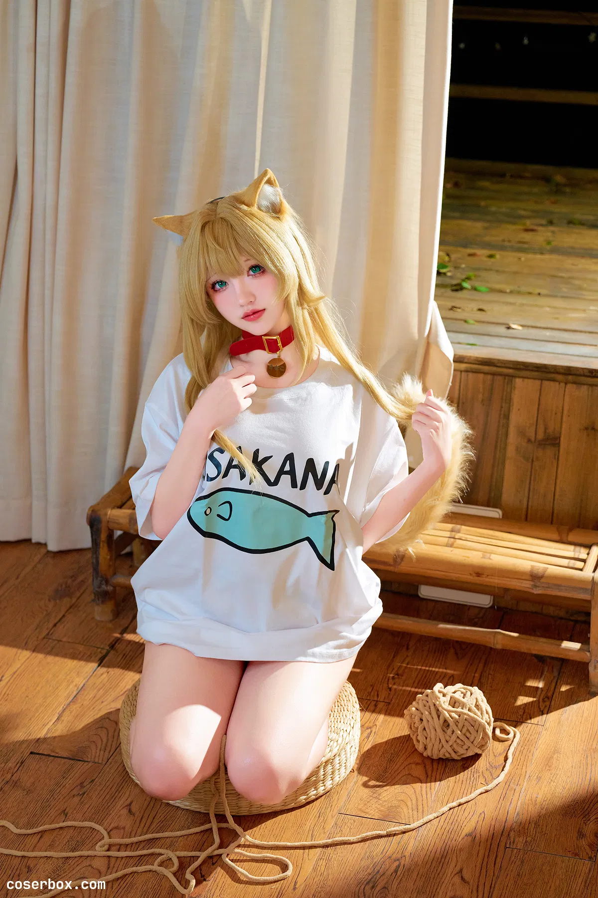 阿薰KaOri 2025.10.09 猫 - 2