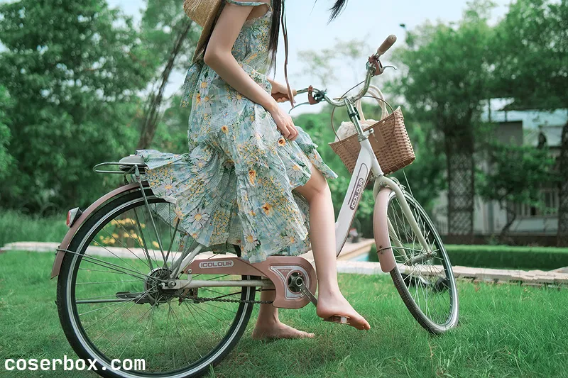 桜桃喵 2025.11.16 葵