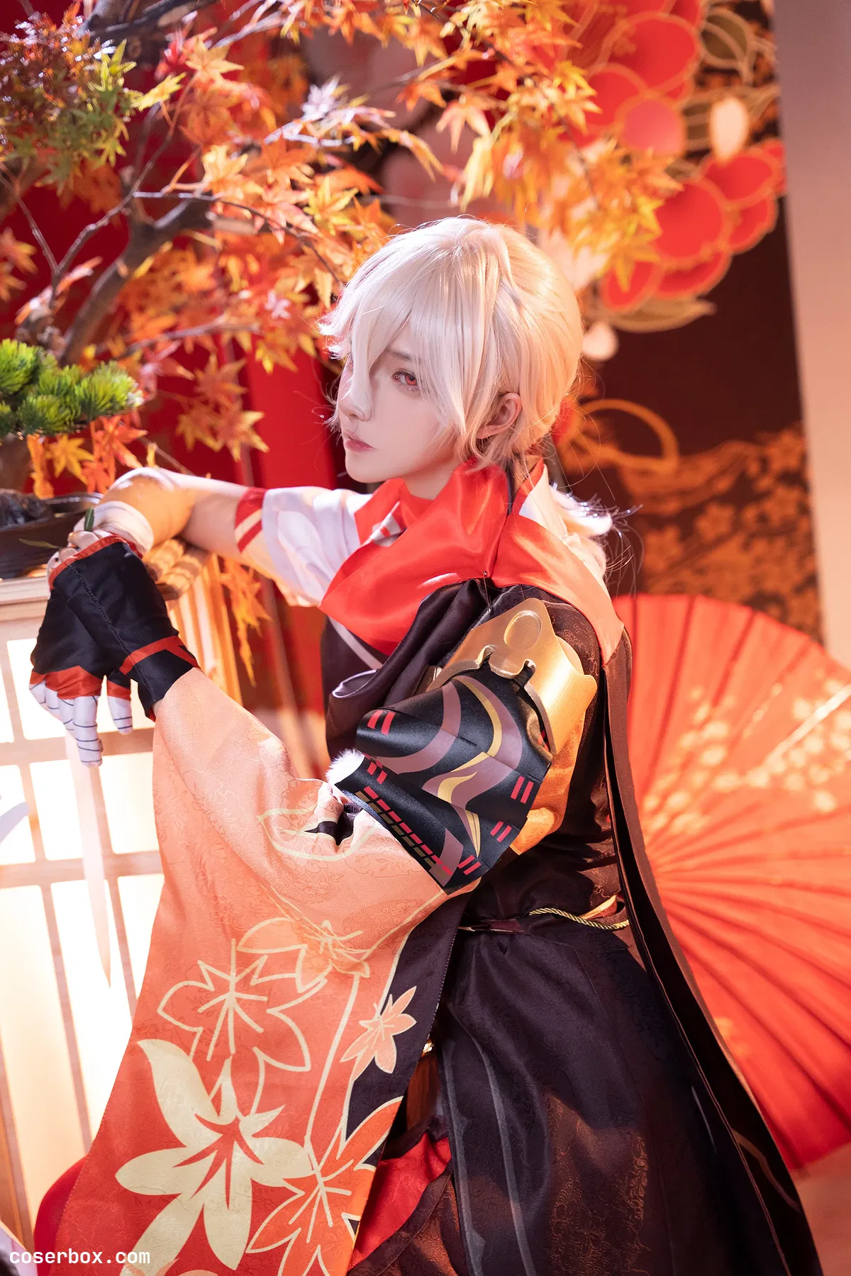 Seya狮砸 2025.11.17 原神·枫原万叶 - 1