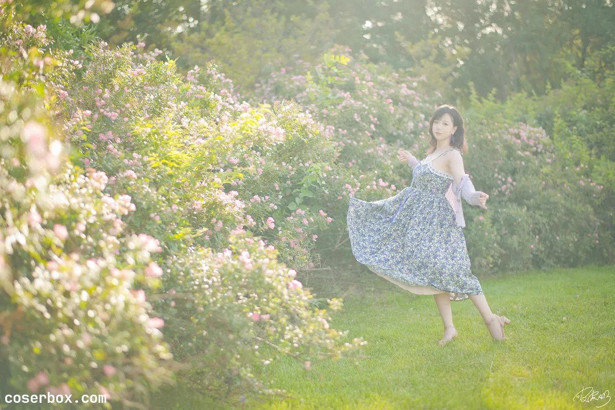 皮皮奶 2025.11.27 蔷薇花 - 1