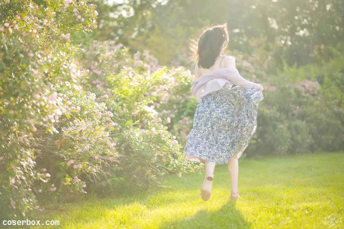 皮皮奶 2025.11.27 蔷薇花 - 2