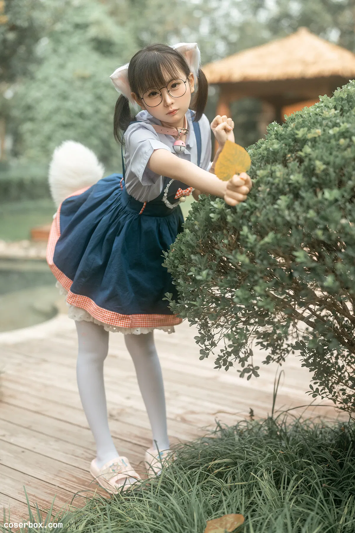 幼水铃衣 2025.11.22 小猫猫 - 1