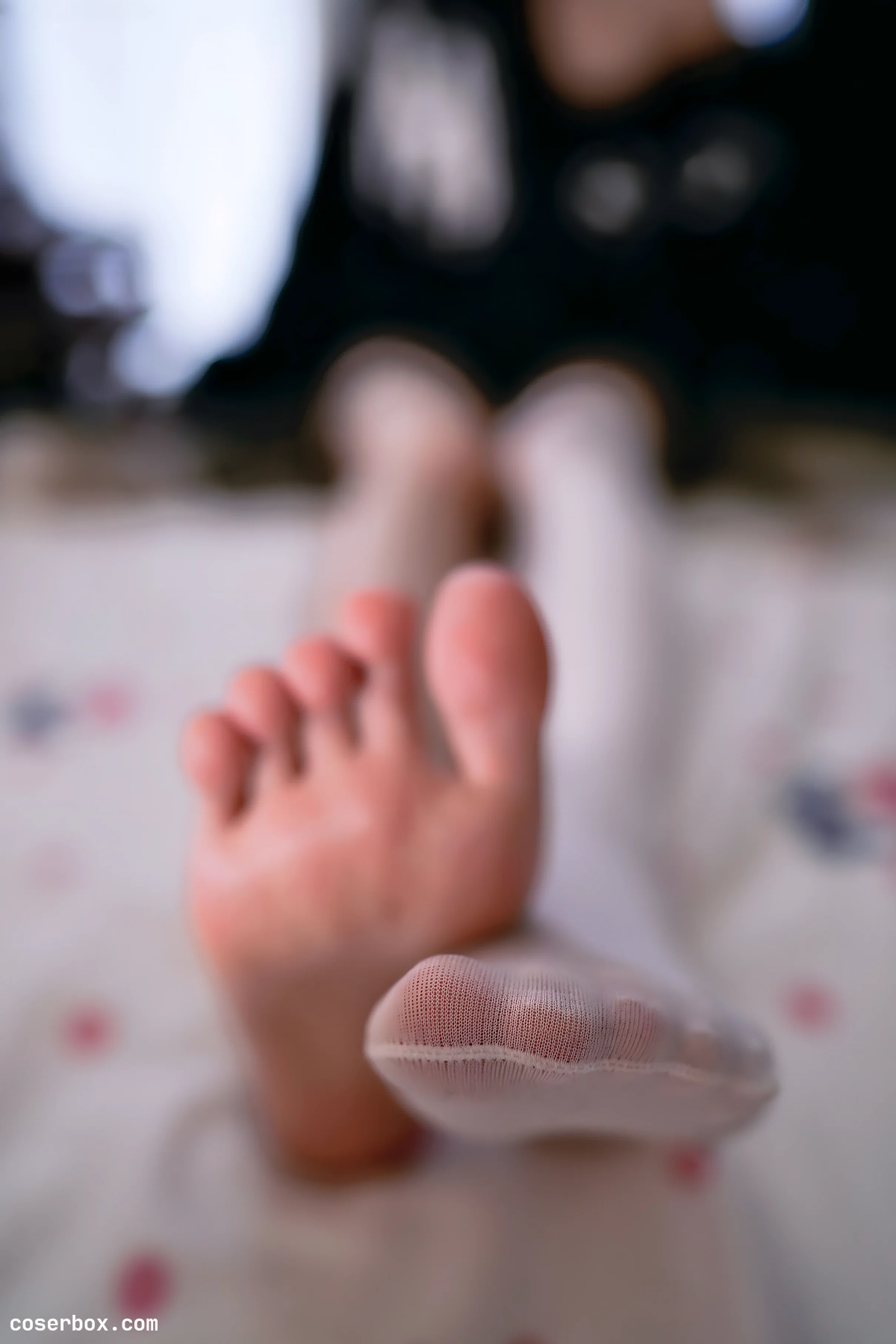 桜桃喵 2025.12.05 缅因猫猫 （a+b） 自购图包 - 1