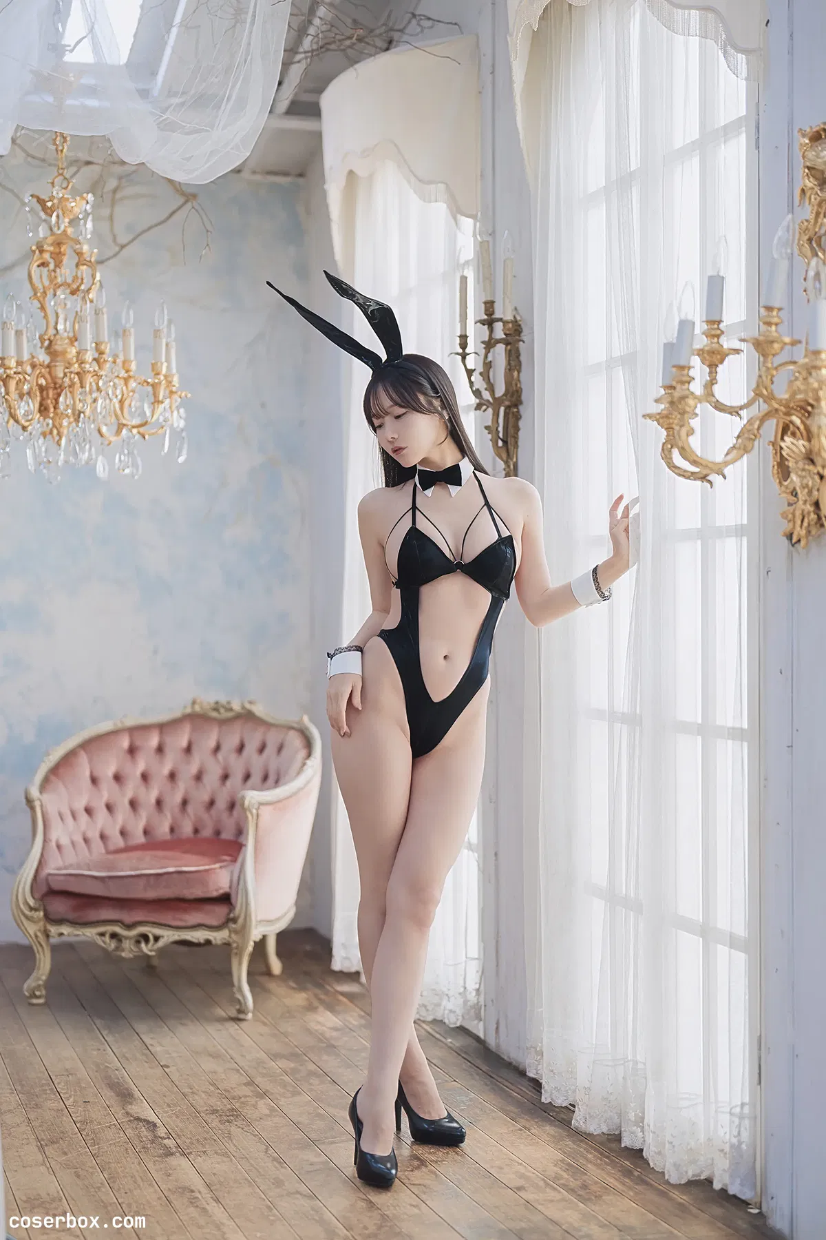 けん研 2025.12.14 DL写真集 KURO Animals - 1