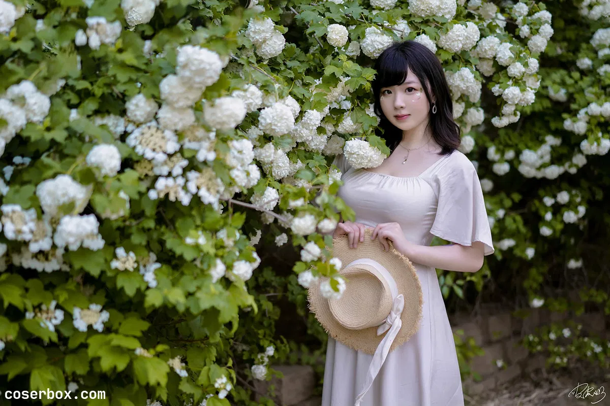 皮皮奶可可爱了啦 2025.12.23 绣球花 - 2