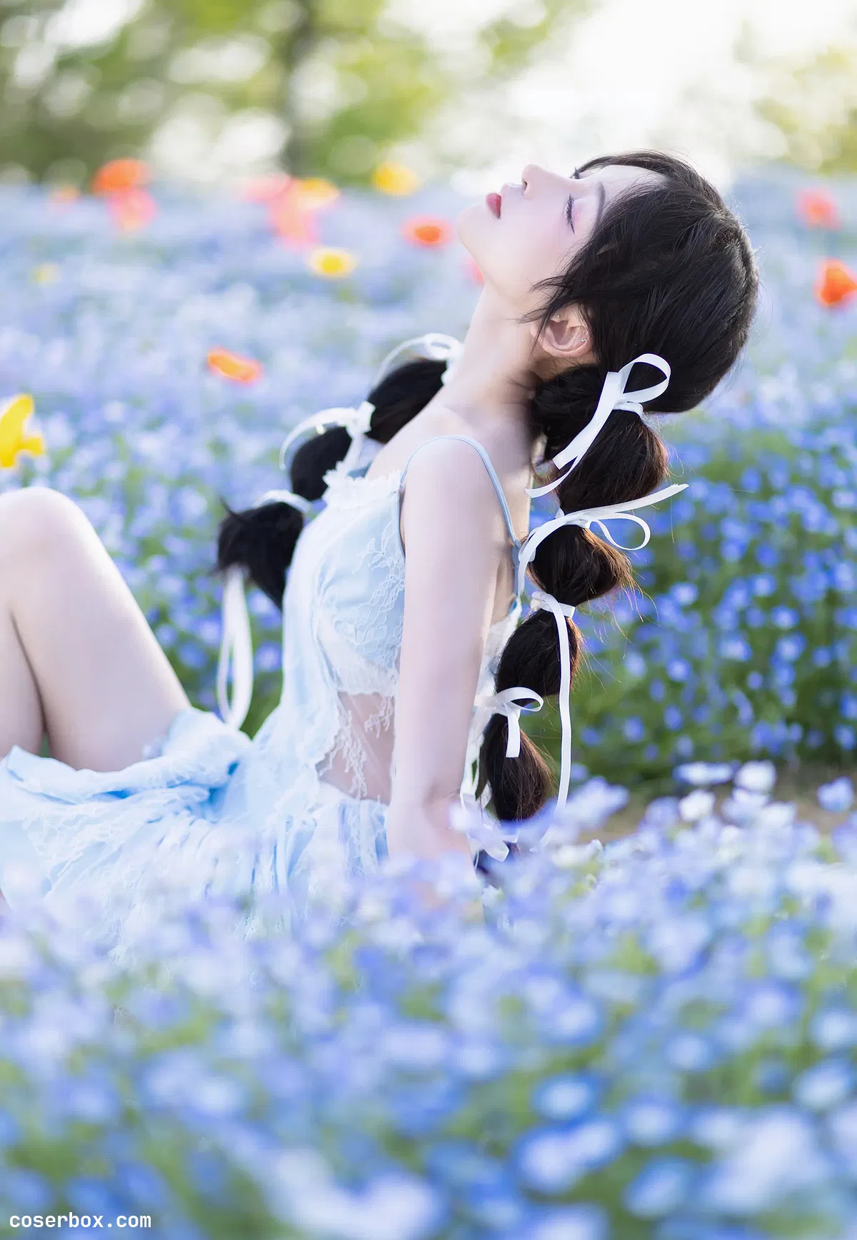 云知笑 2025.12.21 蓝色蕾丝裙 - 2