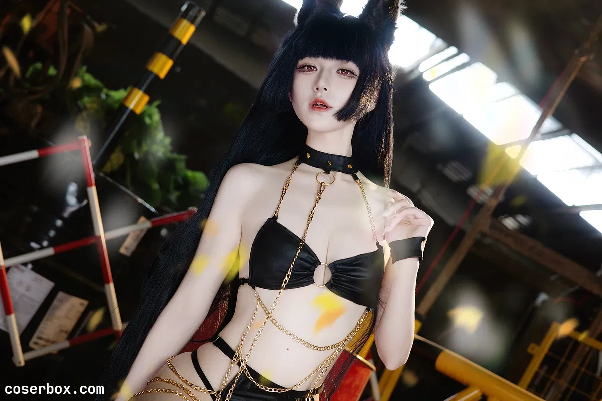 双木扶苏 2026.01.02 星见雅 - 1