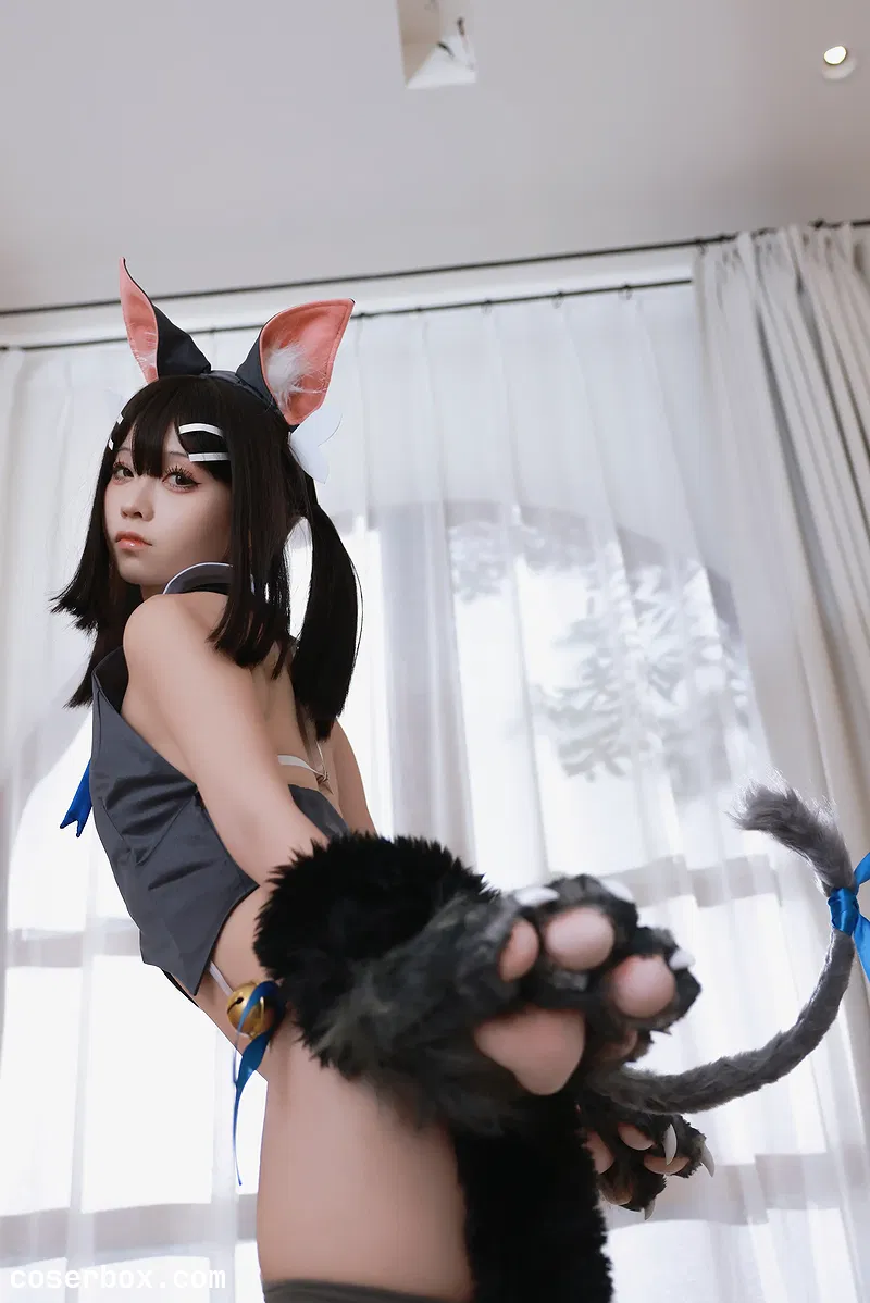 G44不会受伤 2025.12.31 美游猫娘