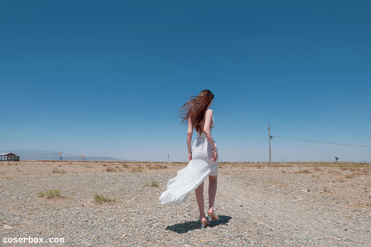 年年 2026.01.09 大漠 风 - 2