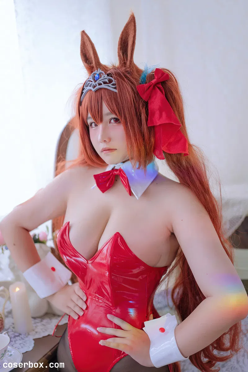 阿半今天很开心 2026.01.15 赛马娘 大和赤骥 兔女郎