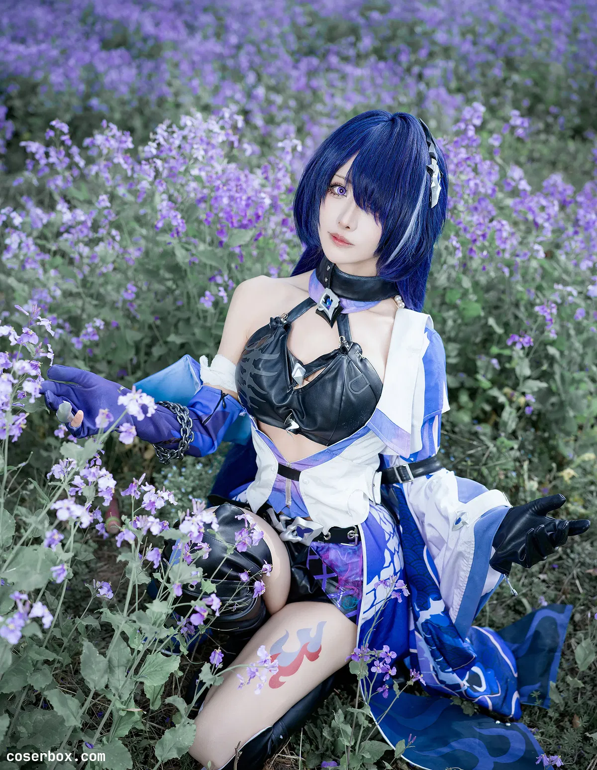 紫氯氯 2026.01.13 巡海游侠 黄泉 - 2