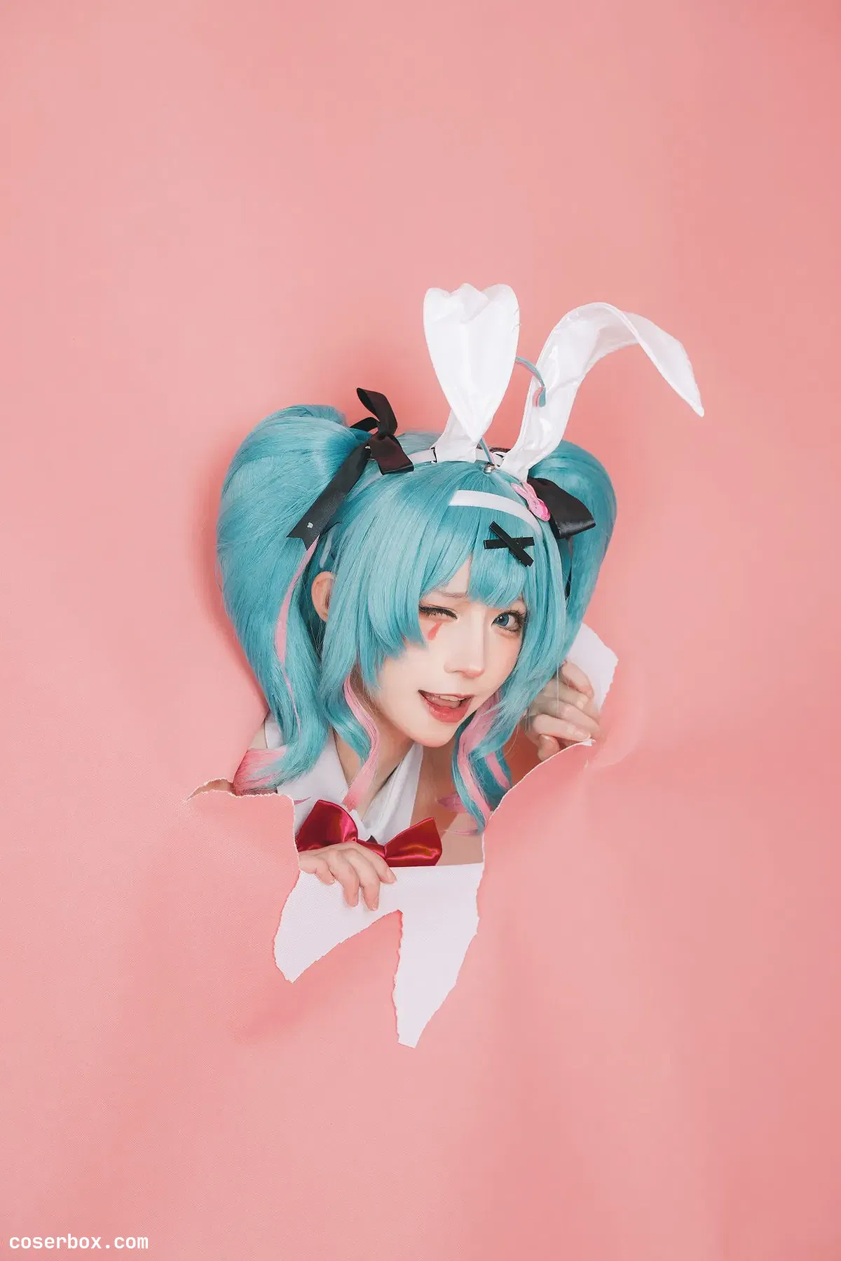 Kitaro_绮太郎 2026.01.14 兔子洞 - 1