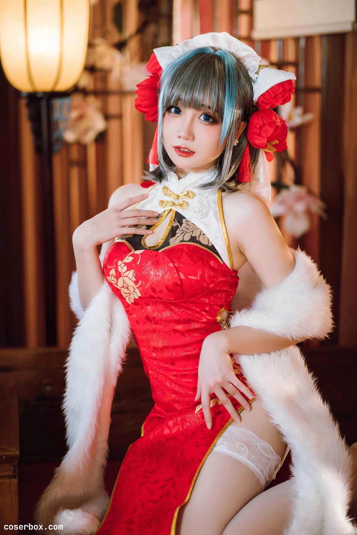 焖焖碳 2026.01.30 柴郡旗袍 - 1