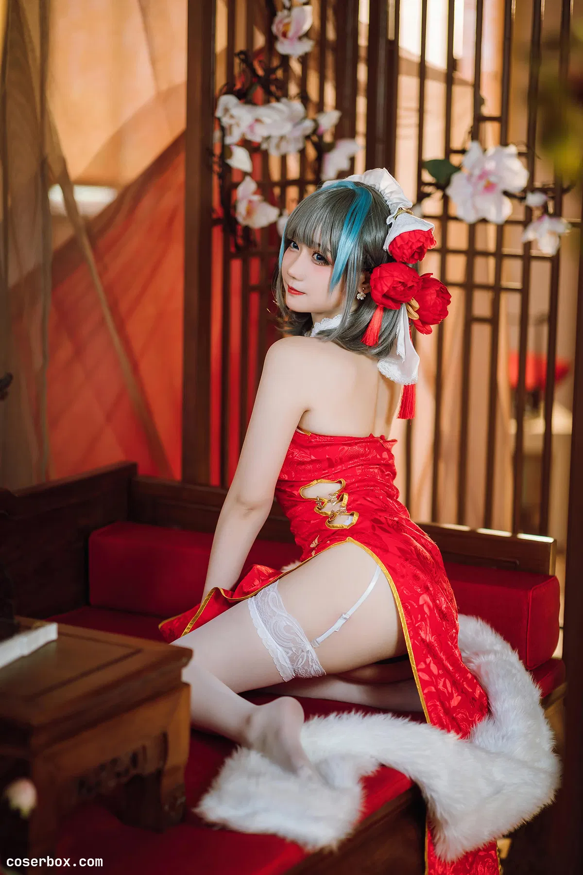 焖焖碳 2026.01.30 柴郡旗袍 - 2