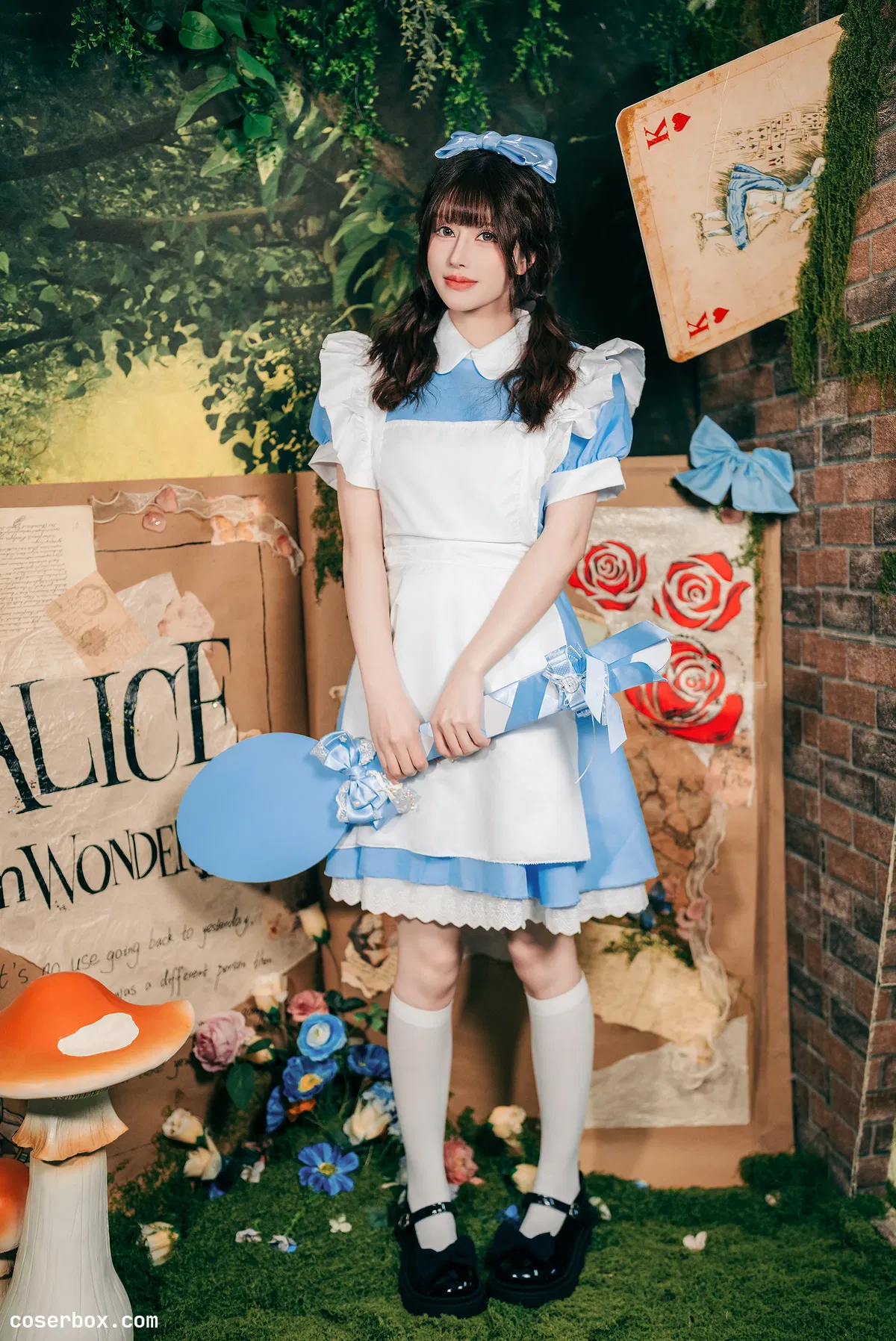 鹿八岁baby 2026.02.07 爱丽丝梦游仙境 - 1