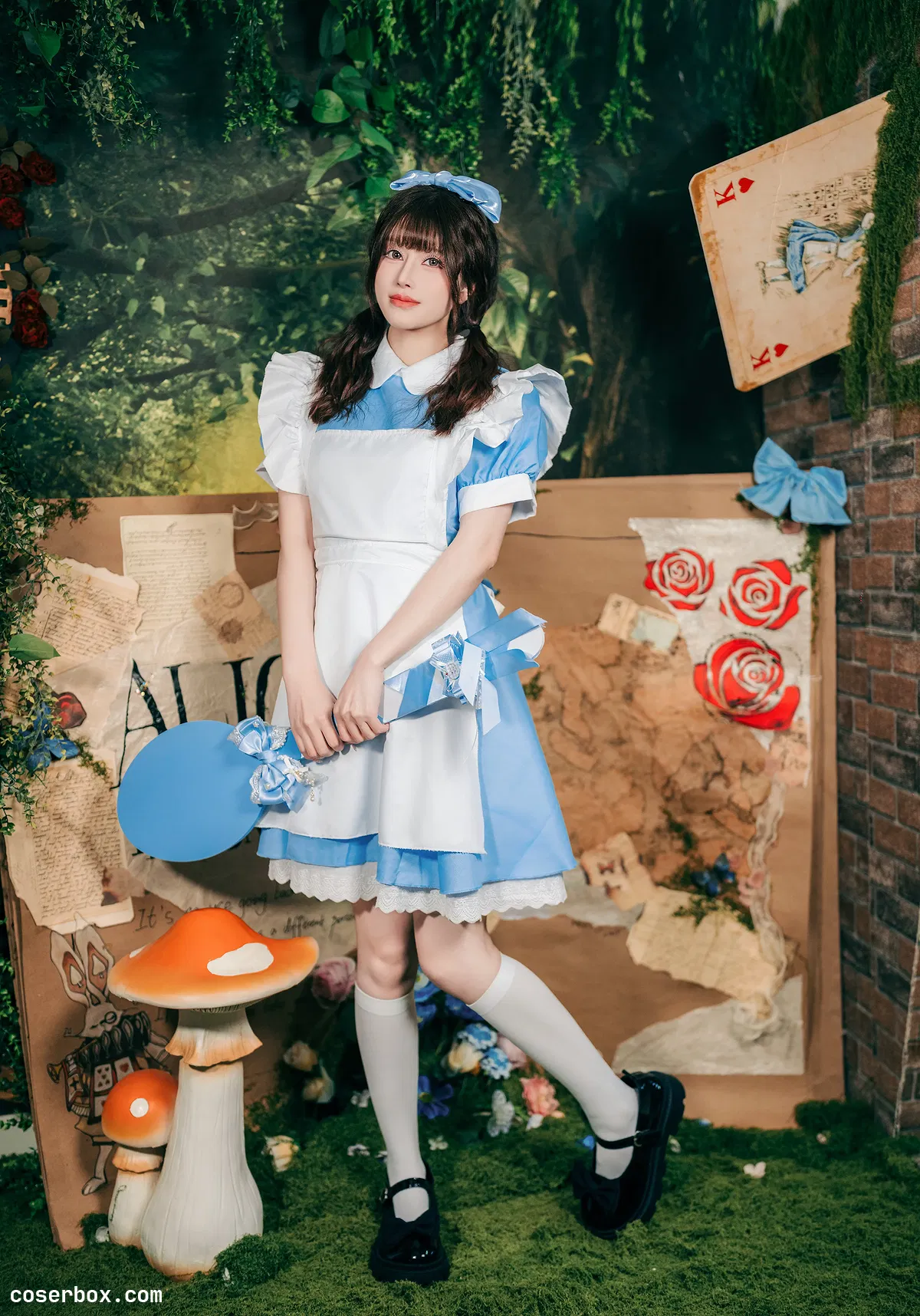 鹿八岁baby 2026.02.07 爱丽丝梦游仙境 - 2