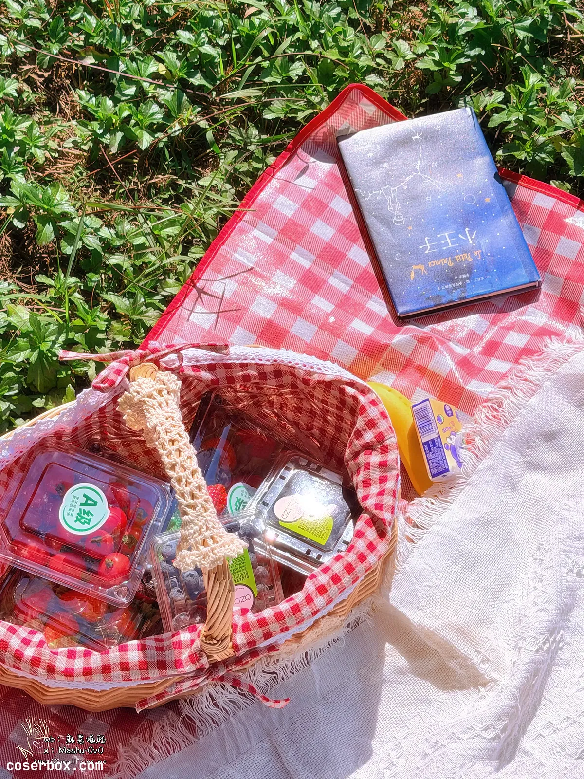 麻薯好吃 2026.02.18 野餐篮の最后一层 - 1