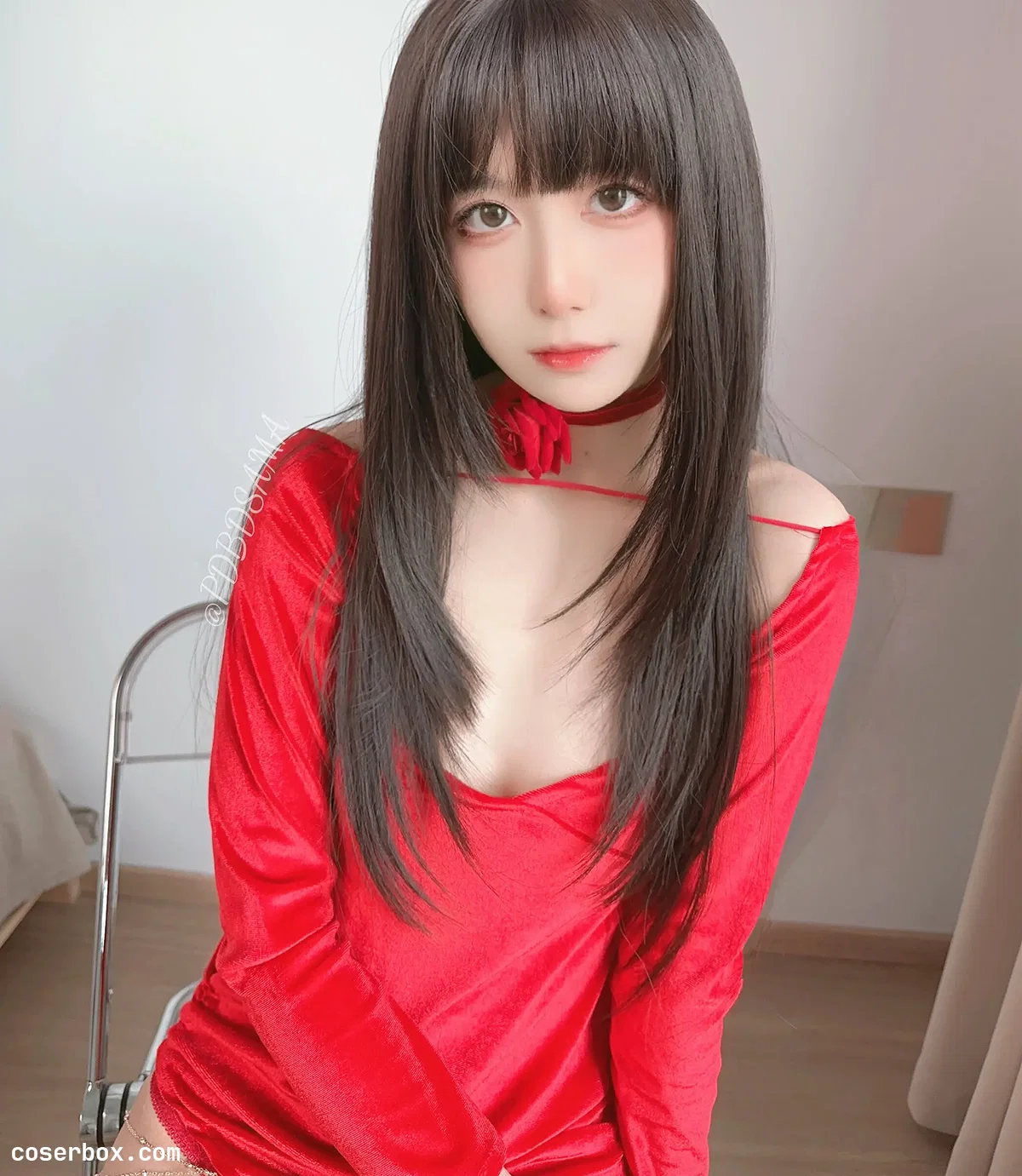 布丁大法 2026.03.16 Perohub-2月订阅 - 1